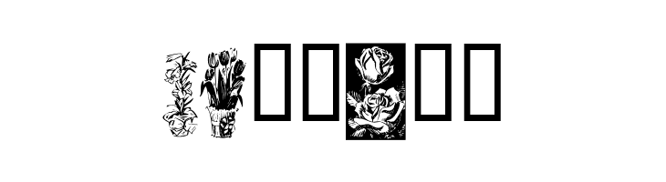 KR Beautiful Flowers  Free Fonts Download