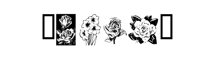 KR Beautiful Flowers  Free Fonts Download