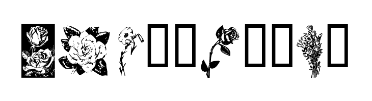 KR Beautiful Flowers  Free Fonts Download