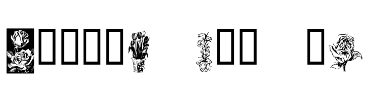 KR Beautiful Flowers  Free Fonts Download