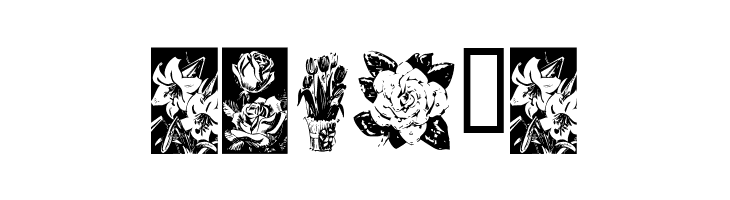 KR Beautiful Flowers  Free Fonts Download