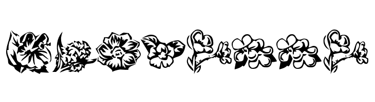 KR Beautiful Flowers 2  Free Fonts Download