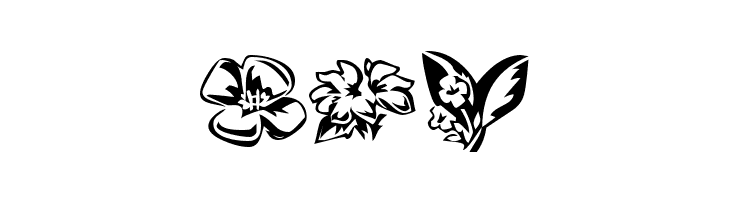 KR Beautiful Flowers 3  Free Fonts Download
