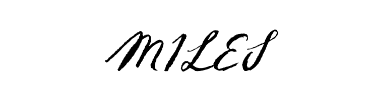 Sketch ScriptRegular  Free Fonts Download