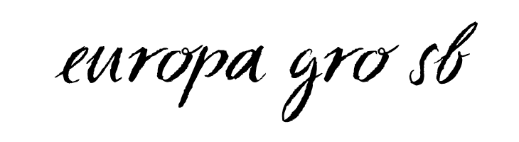 Sketch ScriptRegular  Free Fonts Download