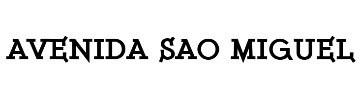 ETH Serif Black  Free Fonts Download