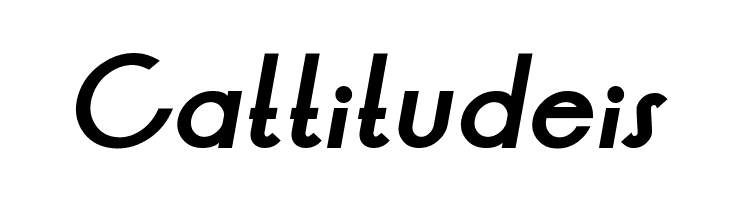 LT Oksana Bold Italic  Free Fonts Download