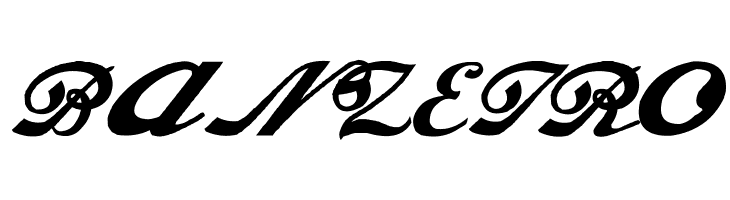 Alfaowner Script Bold Italic  Free Fonts Download