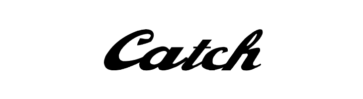 Alfaowner Script Bold Italic  Free Fonts Download