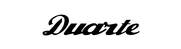 Alfaowner Script Bold Italic  Free Fonts Download