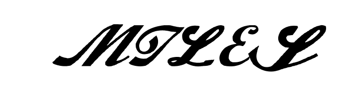 Alfaowner Script Bold Italic  Free Fonts Download