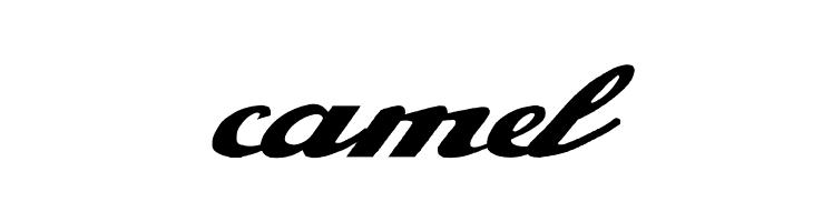 Alfaowner Script Bold Italic  Free Fonts Download