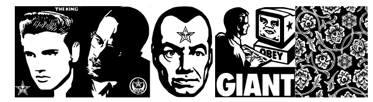 ObeyXL2  Free Fonts Download