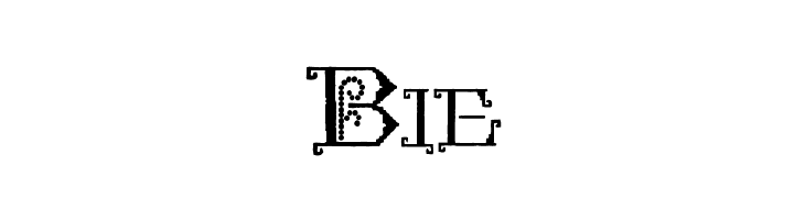 Kingthings Embroidery  Free Fonts Download