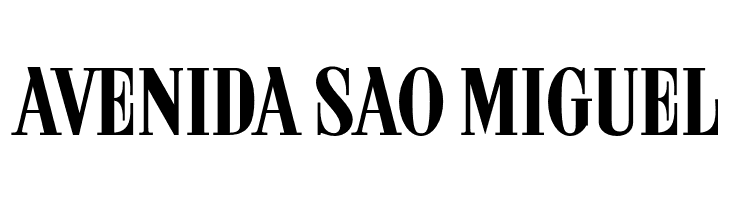 ARB 08 Extreme Roman AUG-32 CAS Normal  Free Fonts Download