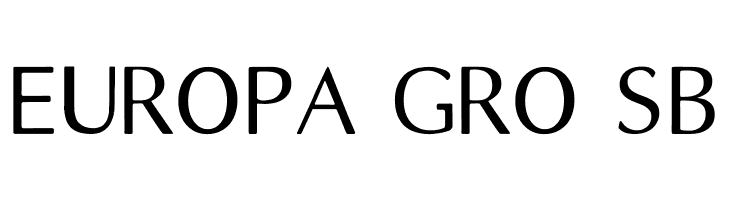 LongTime  Free Fonts Download