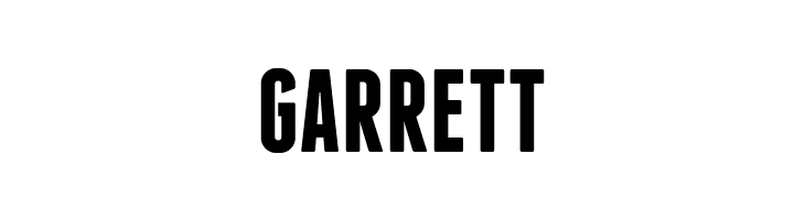 Franchise Bold  Free Fonts Download