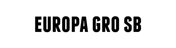 Franchise Bold  Free Fonts Download