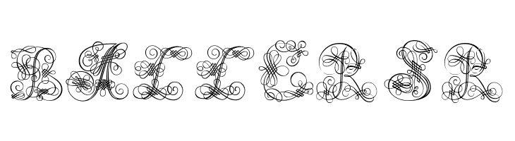 Andrade Swash  Free Fonts Download