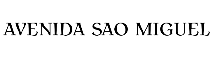 AntykwaTorunskaMed-Regular  Free Fonts Download