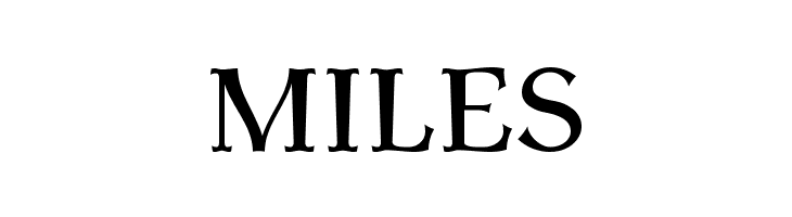 AntykwaTorunskaMed-Regular  Free Fonts Download