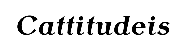 AntykwaTorunska-BoldItalic  Free Fonts Download
