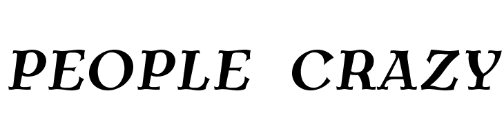 AntykwaTorunska-BoldItalic  Free Fonts Download