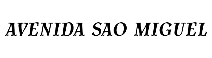 AntykwaTorunskaCond-BoldItalic  Free Fonts Download