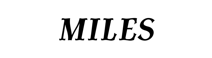 AntykwaTorunskaCond-BoldItalic  Free Fonts Download