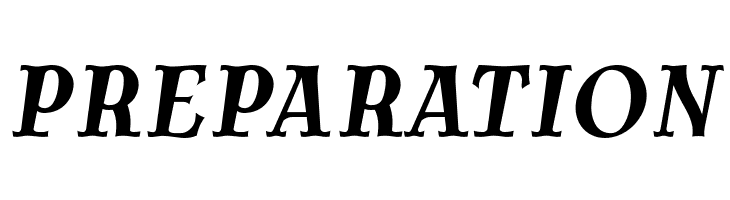 AntykwaTorunskaCond-BoldItalic  Free Fonts Download