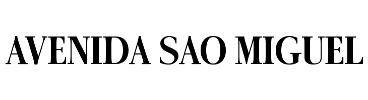 AntPoltCond-Bold  Free Fonts Download