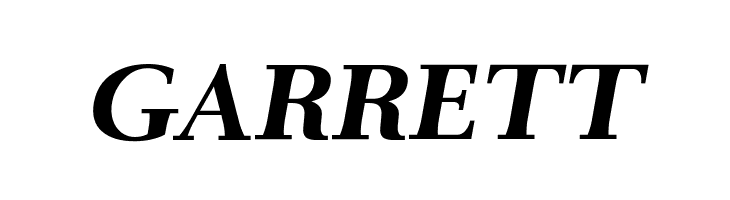 AntPoltExpd-BoldItalic  Free Fonts Download