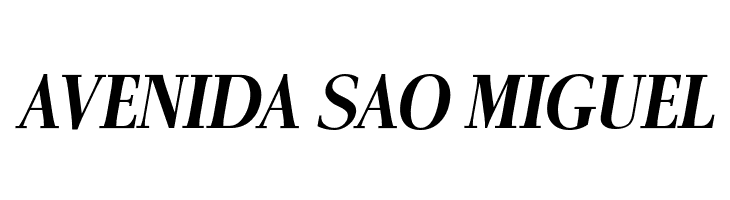 AntPoltCond-BoldItalic  Free Fonts Download