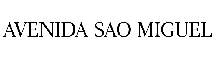 AntPoltLt-Regular  Free Fonts Download