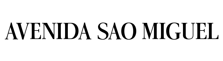 AntPoltLtCond-Bold  Free Fonts Download