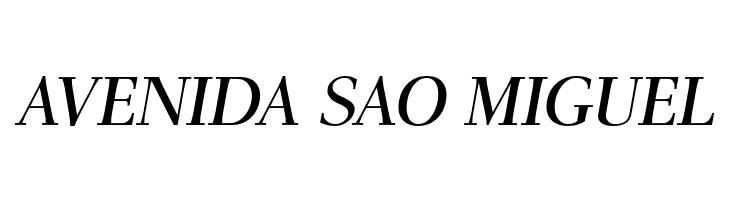 AntPolt-Italic  Free Fonts Download