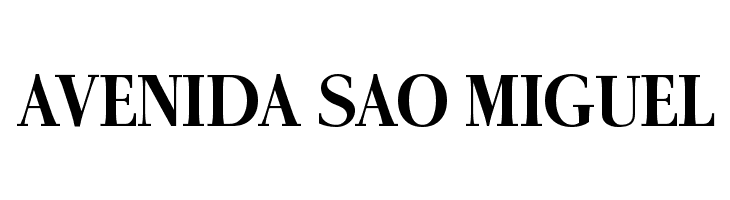 AntPoltSemiCond-Bold  Free Fonts Download