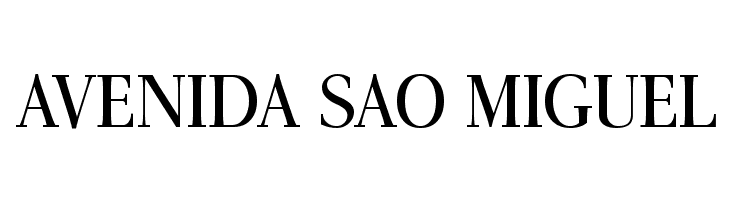 AntPoltSemiCond-Regular  Free Fonts Download