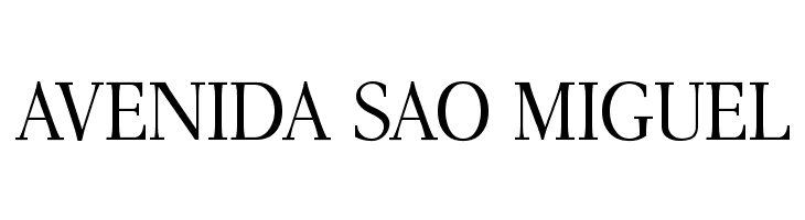 AntPoltLtSemiCond-Regular  Free Fonts Download