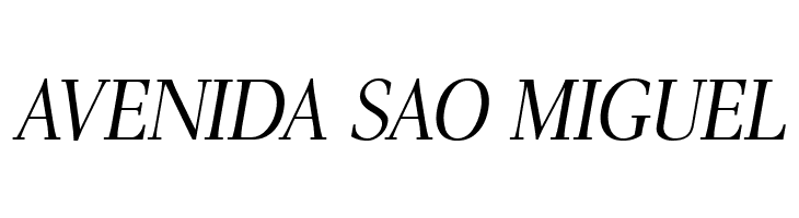 AntPoltLtCond-Italic  Free Fonts Download