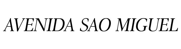 AntPoltLtSemiCond-Italic  Free Fonts Download