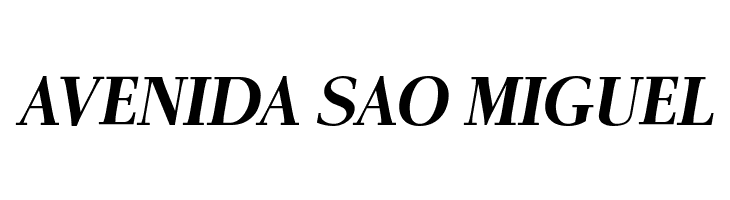 AntPolt-BoldItalic  Free Fonts Download