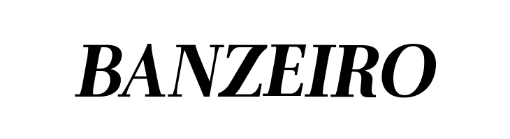 AntPolt-BoldItalic  Free Fonts Download