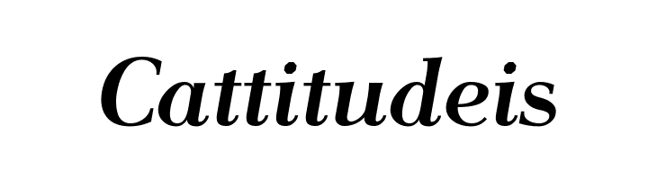 AntPolt-BoldItalic  Free Fonts Download