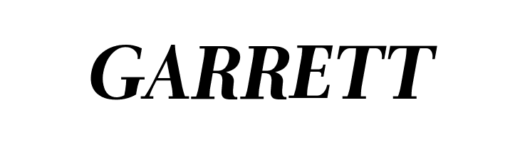 AntPolt-BoldItalic  Free Fonts Download