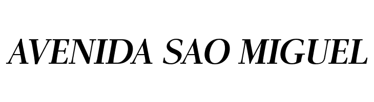 AntPoltLt-BoldItalic  Free Fonts Download