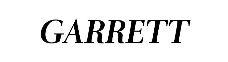 AntPoltLt-BoldItalic  Free Fonts Download