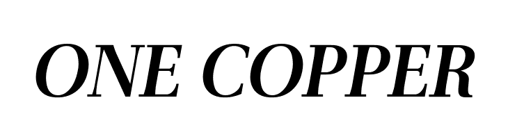 AntPoltLt-BoldItalic  Free Fonts Download