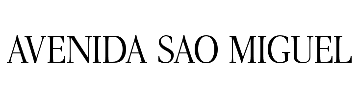 AntPoltLtCond-Regular  Free Fonts Download