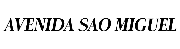 AntPoltSemiCond-BoldItalic  Free Fonts Download